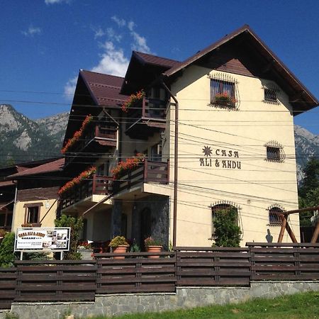 Pension Casa Ali & Andu Buşteni Εξωτερικό φωτογραφία
