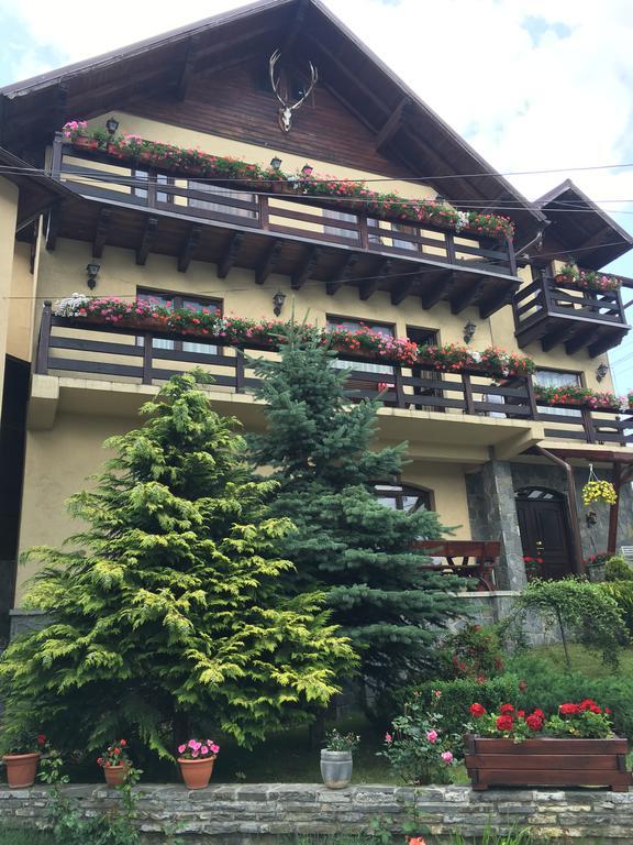 Pension Casa Ali & Andu Buşteni Εξωτερικό φωτογραφία